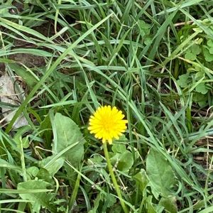 Meet your Posher, Maria cecilia